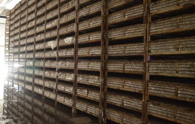 Après le lardage, l'incubation peut commencer dans les grandes salles de culture.