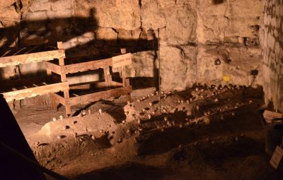 Culture en caisses en bois utilisée à partir de 1960.