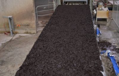 Une fois l'opération du gobetage terminée, la fructification va pouvoir commencer.