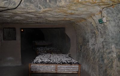 La dernière grande évolution technique pour le champignonniste : la culture en grands bacs.