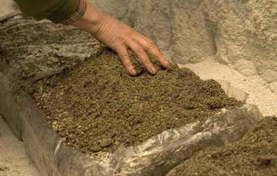 La terre de gobetage doit recouvrir le compost.