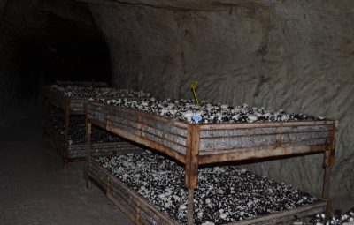 Les grands bacs sont la plupart du temps superposés pour un gain de place.