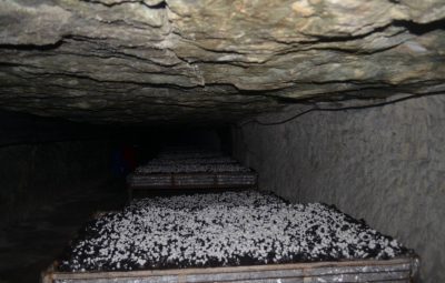 Une des nombreuses galeries souterraines cachées de la Cave Vivante du Champignon.